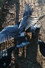 J'ai vu des oiseaux-moqueurs ricaner sous le soleil de Valence