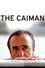 Il caimano