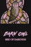 Barn Owl: Bird of Darkness