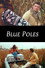 Blue Poles