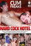Hard Cock Hotel