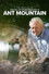 The Making of David Attenborough's Ant Mountain