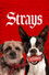 Strays