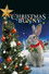 The Christmas Bunny