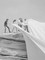 Operation Wrap Up: Christo In Australia
