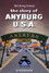 The Story of Anyburg U.S.A.