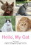 나만 없어 고양이