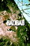 Baobab: Portrait of a Tree