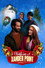 Christmas at Xander Point