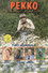 Pekko aikamiespojan poikamiesaika