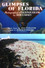 Glimpses of Florida