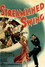 Streamlined Swing