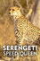 Serengeti Speed Queen