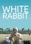 White Rabbit