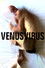 venusvirus