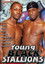 Young Black Stallions