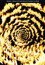 Marillion - Before First Light