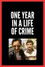 One Year in a Life of Crime