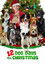 12 Dog Days Till Christmas