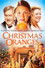 Christmas Oranges