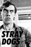 Stray Dogs