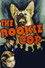 The Rookie Cop