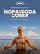 No Passo da Cobra
