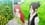 Re:Zero kara Hajimeru Isekai Seikatsu 1. Sezon 20. Bölüm (Anime) izle