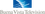 Buena Vista Television