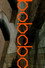 Quasi Skateboards - BOBCBC