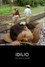 Idilio
