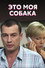 Это моя собака