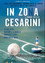 In Zona Cesarini