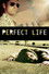 Perfect Life