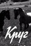 Круг