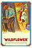 Wildflower