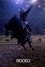 Rodeo