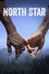North Star