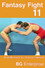 Fantasy Fight 11