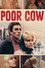 Poor Cow
