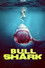 Bull Shark