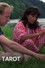 Tarot