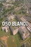 Oso Blanco