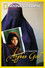 National Geographic : Search for the Afghan Girl