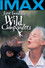 Jane Goodall's Wild Chimpanzees