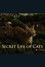 The Secret Life of Cats