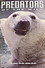 Predators of the Wild: Polar Bear