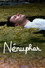 Nénuphar
