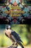 Varda, the Peregrine Falcon