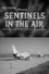 Sentinels in the Air